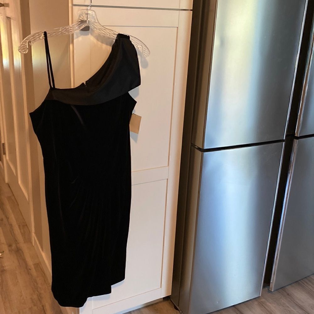 Alex Evening  Velvet Dress